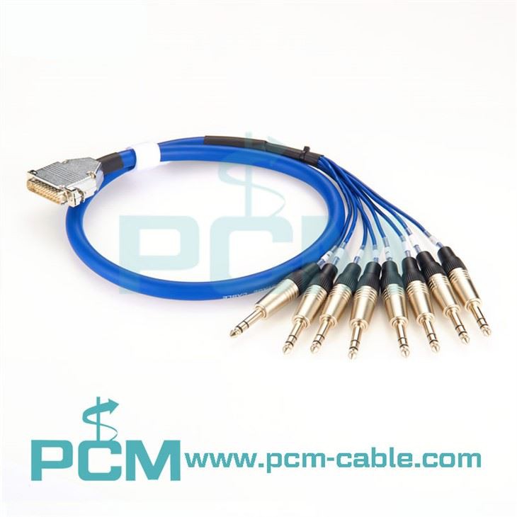DB25 bis 8 TRS Tascam-kompatibles Kabel