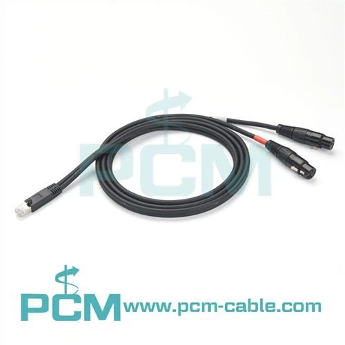 RJ45-Stecker auf Dual-XLR-Buchse für AXIA